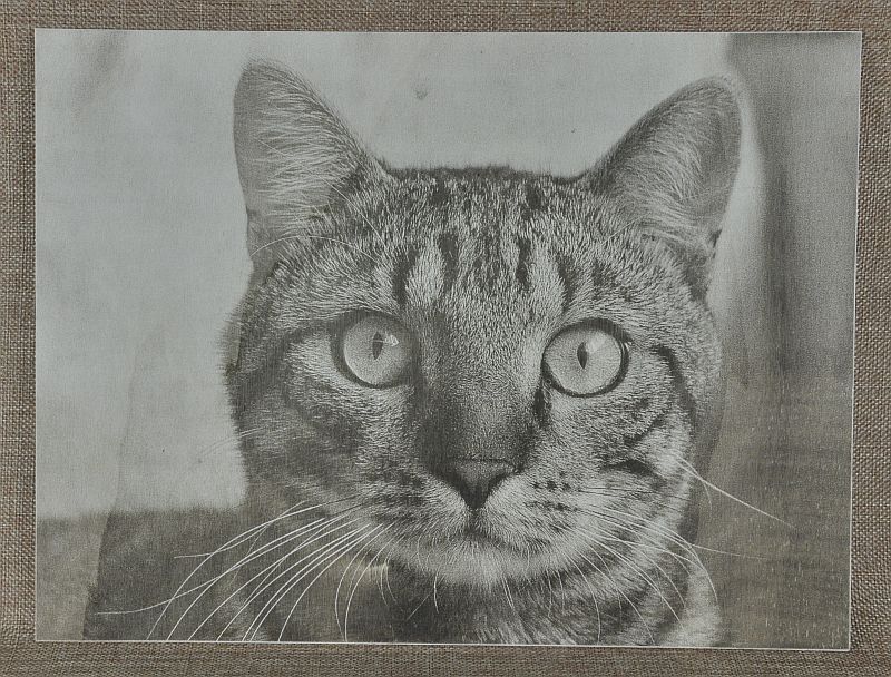 foto na dřevě foto na dřevo